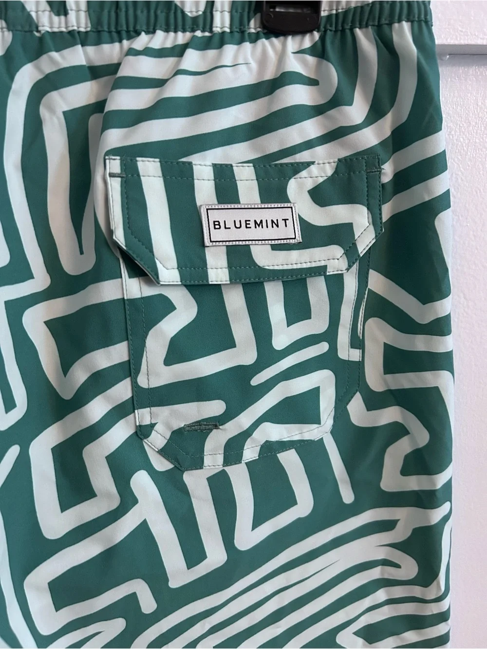 Bluemint arthus swim